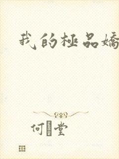 我的极品娇妻