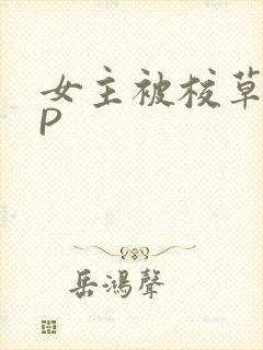 女主被校草们NP