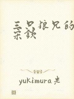 三只狼兄的宠妻宋钦