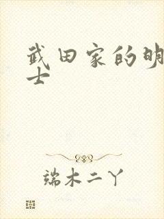 武田家的明国武士