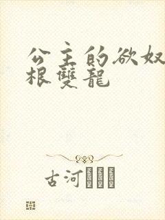 公主的欲奴h四根双龙