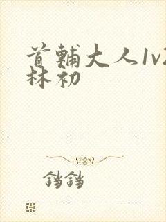 首辅大人1v2林初