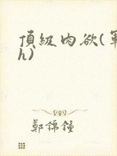 顶级肉欲(军高h)