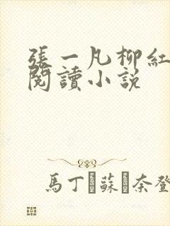 张一凡柳红免费阅读小说