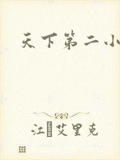 天下第二小说