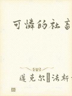 可怜的社畜小说