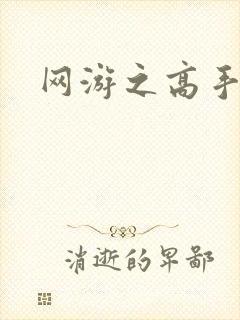 网游之高手寂寞