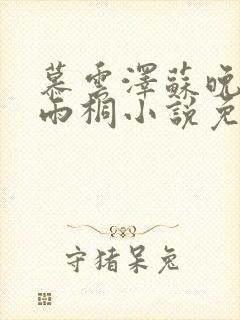 慕云泽苏晚晴夏雨桐小说免费阅读