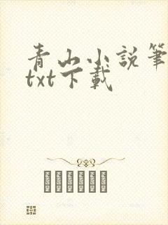青山小说笔趣阁txt下载