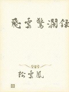 飞云惊澜录
