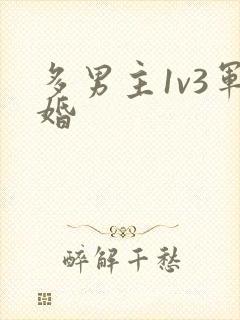 多男主1v3军婚
