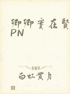 卿卿实在贤良NPN