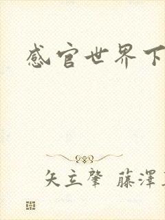 感官世界下载