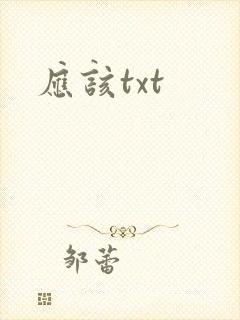 应该txt