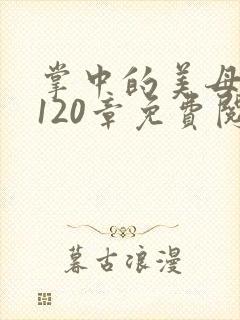 掌中的美母版主120章免费阅读