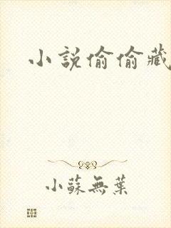 小说偷偷藏不住