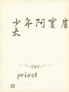 少年阿宾房东太太