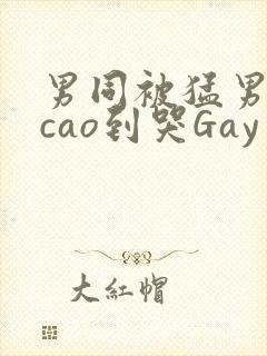 男同被猛男房东cao到哭Gay