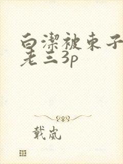 白洁被东子老二老三3p