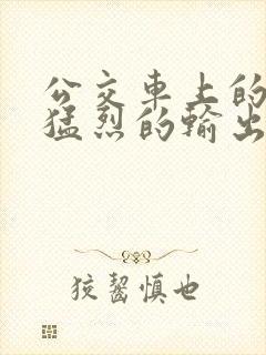 公交车上的诗请猛烈的输出阅读