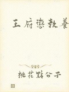 王府惩教养日常