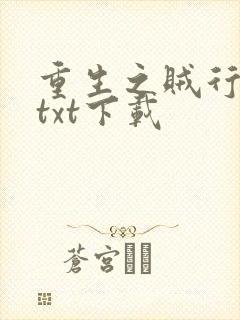 重生之贼行天下txt下载