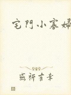 宅门小寡妇