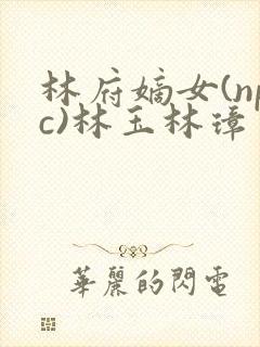 林府嫡女(npc)林玉林璋