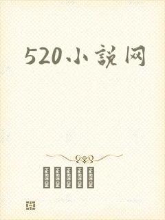 520小说网
