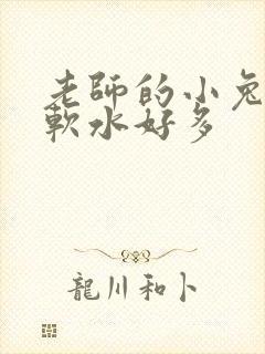 老师的小兔子好软水好多