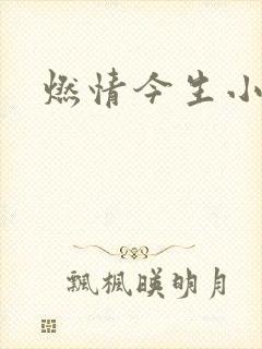 燃情今生小说