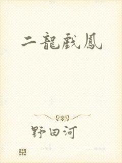二龙戏凤