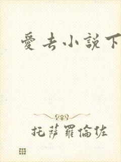 爱去小说下载网