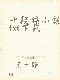 十段锦小说全本txt下载
