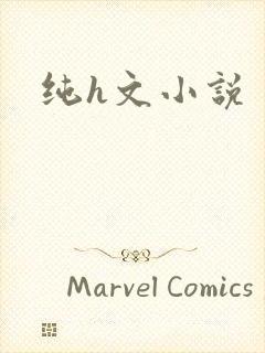 纯h文小说