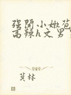 强开小嫩苞h文高辣h文男男