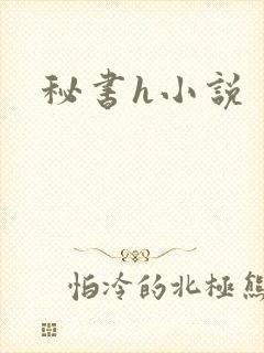 秘书h小说