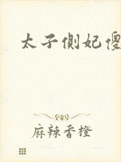 太子侧妃傻乎乎