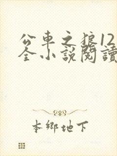 公车之狼12集全小说阅读