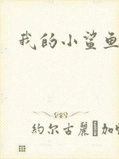 我的小鲨鱼