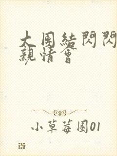 大团结闪闪发光亲情会