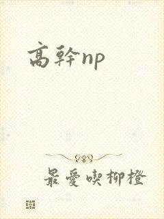 高干np