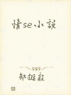 情se小说