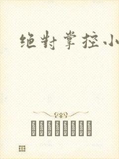 绝对掌控小说