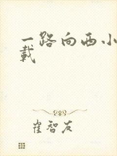 一路向西小说下载
