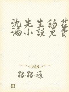 沈先生的花式调酒小说免费阅读