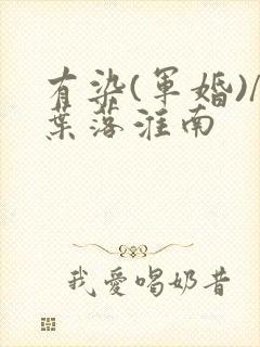 有染(军婚)/叶落淮南