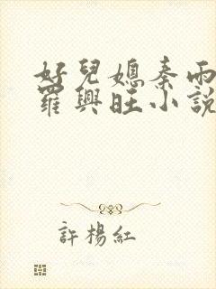 好儿媳秦雨罗明罗兴旺小说