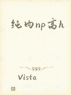 纯肉np高h