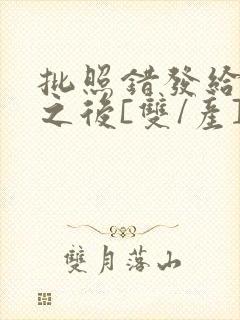 批照错发给情敌之后[双/产]